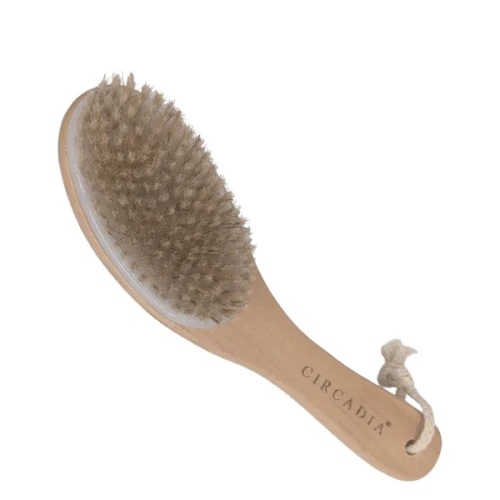 circadia-body-brush-circadia_grande.webp